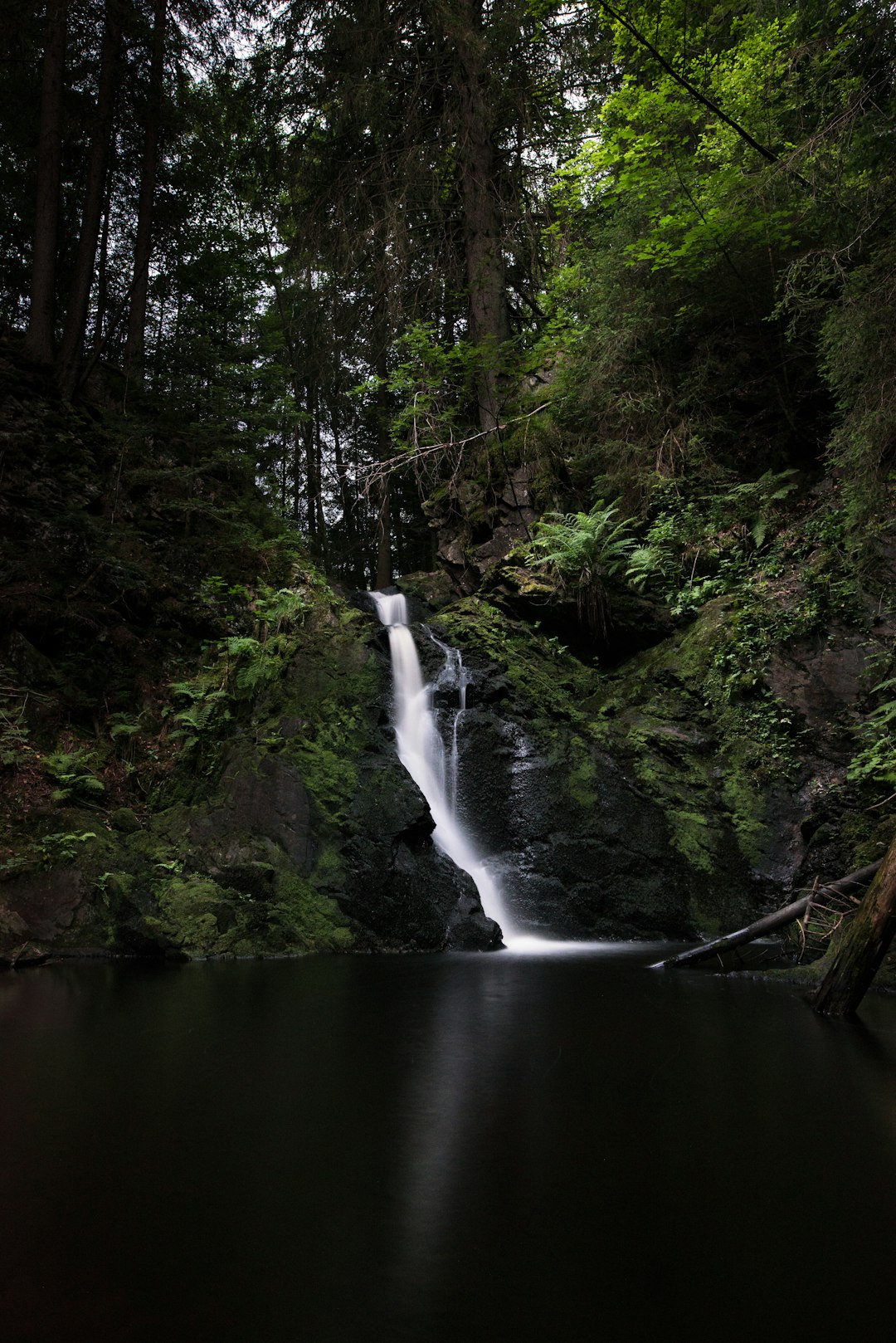 waterfalls surround by green trees