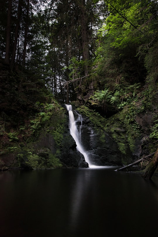 waterfalls surround by green trees in Black Forest Germany