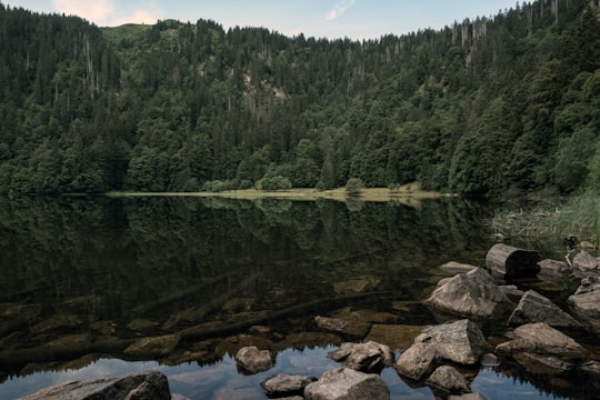 calm body of water and rocks in Black Forest Germany