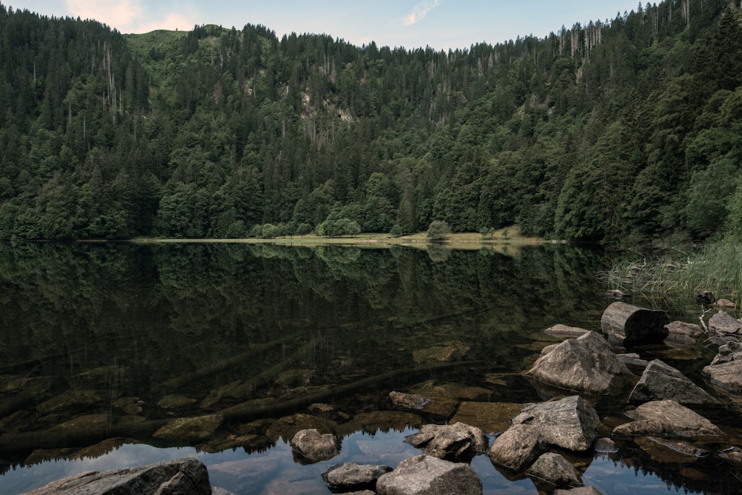 travelers stories about River in Black Forest, Germany