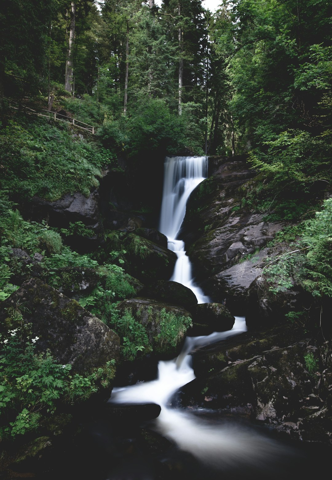 time lapse photography of river in woods