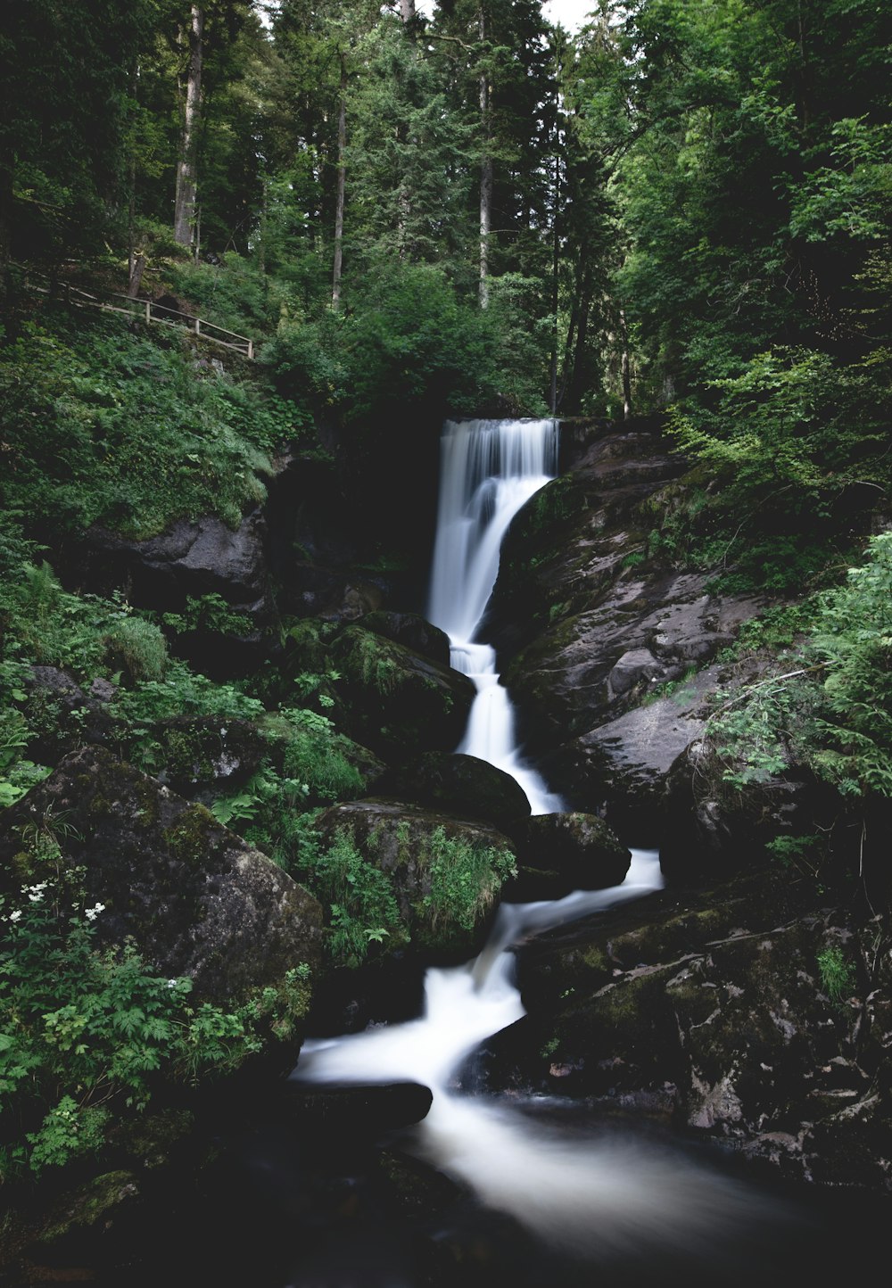 Waterfall Brook