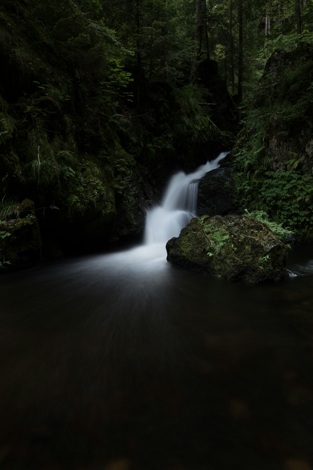 photo of river surrounded by trees