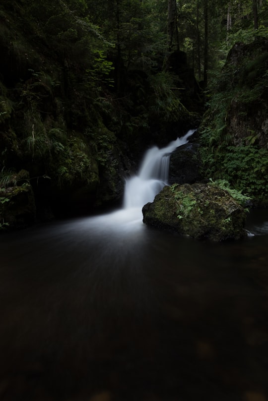 photo of Black Forest Waterfall near Schauinsland