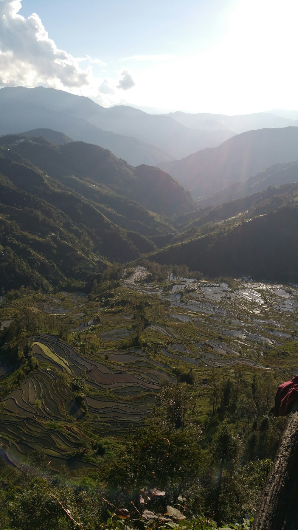 Fotografia aerea delle terrazze di riso durante il giorno