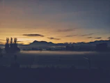 A serene mountain landscape with mist rolling over pine trees at dawn.