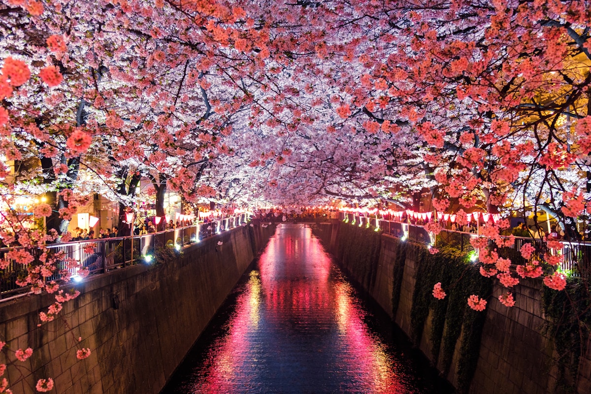 7th Japanese Anniversary