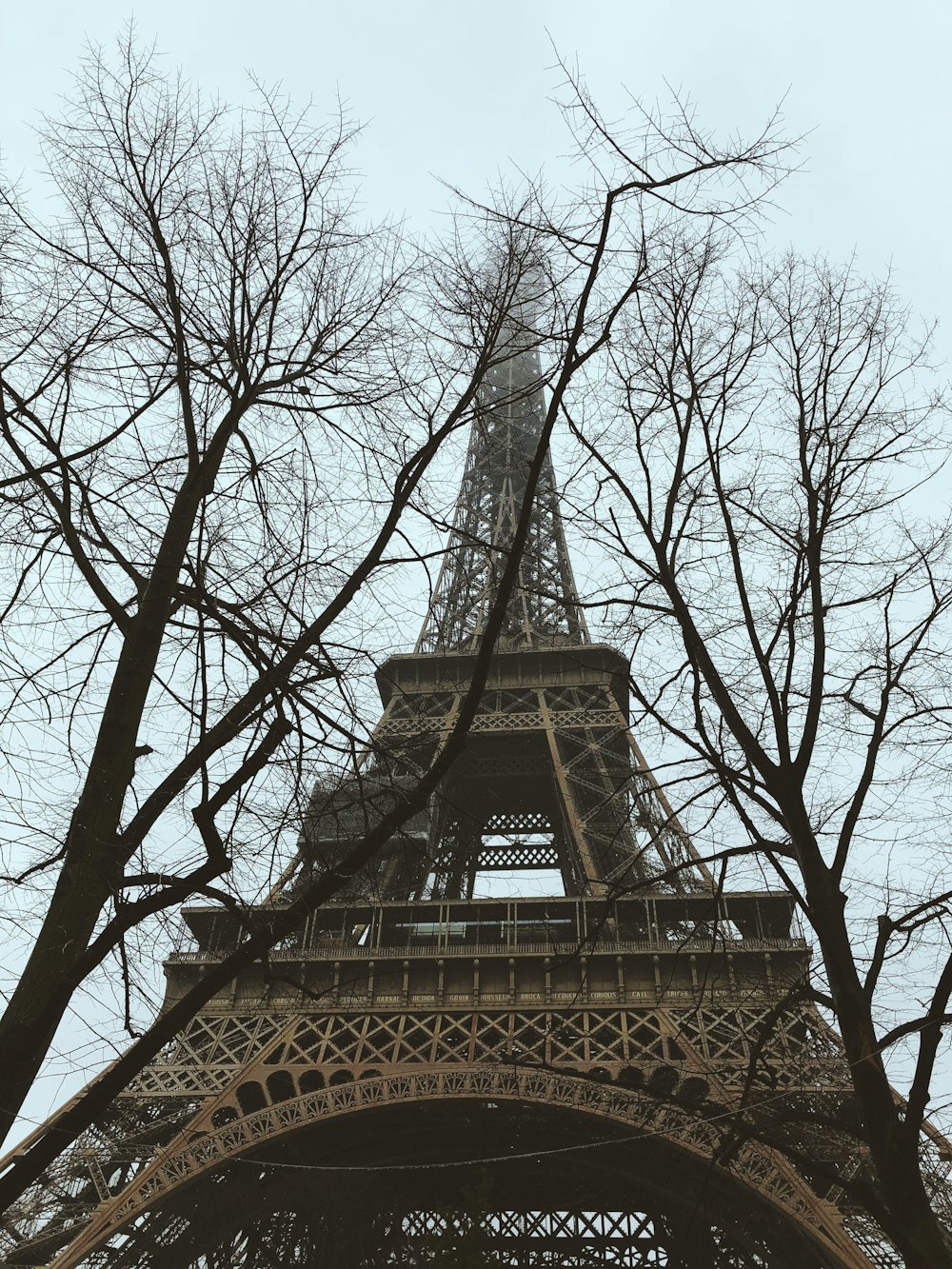 에펠탑 근처의 벌거벗은 나무 두 그루