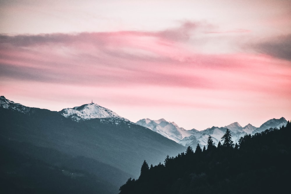 silhouette of trees and mountain covered with ice