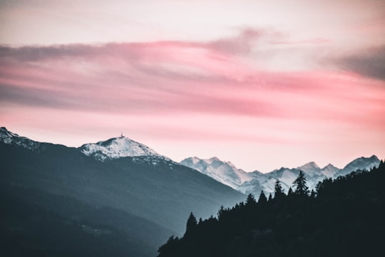 silhouette of trees and mountain covered with ice in Wiesing Austria