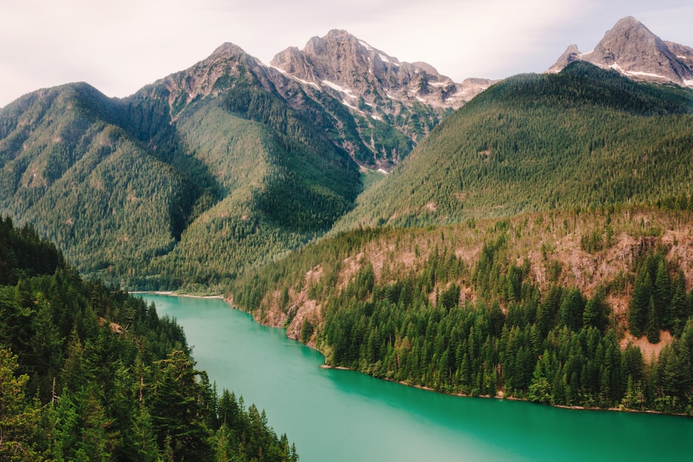 green grass mountains