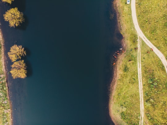 aerial photo of island in Villa Ciudad Parque Argentina