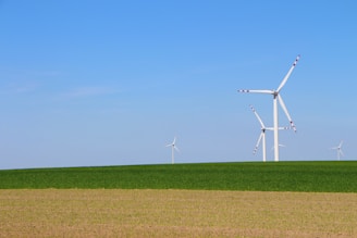 Wind turbines turning gently beside solar arrays in a vibrant natural setting.