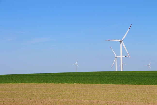 Wind turbines stand tall on a vast landscape, with a clear blue sky overhead. The foreground features patchy brown earth transitioning into lush green grass, creating a serene natural setting.