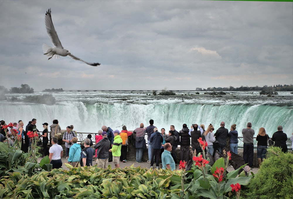 people taking picture of waterfalls under cloudy sky