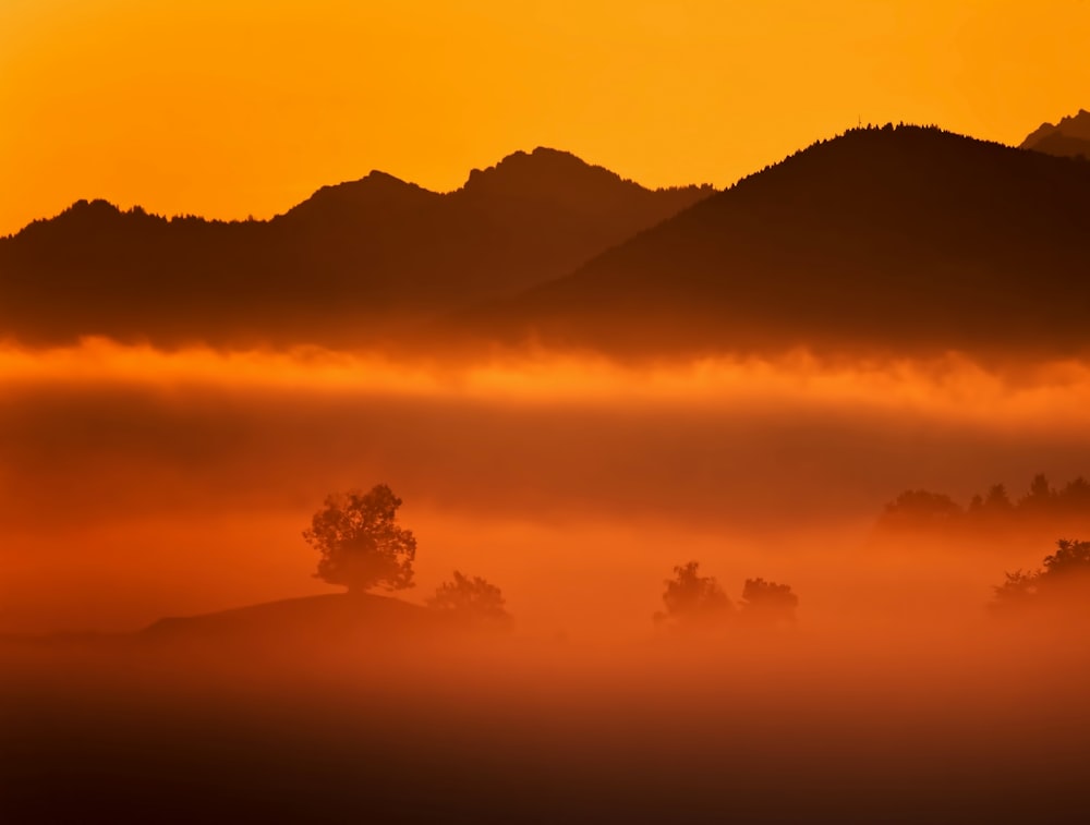 silhouette of mountain covered by fog