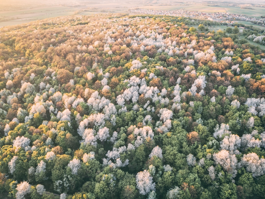 travelers stories about Ecoregion in Eplény, Hungary