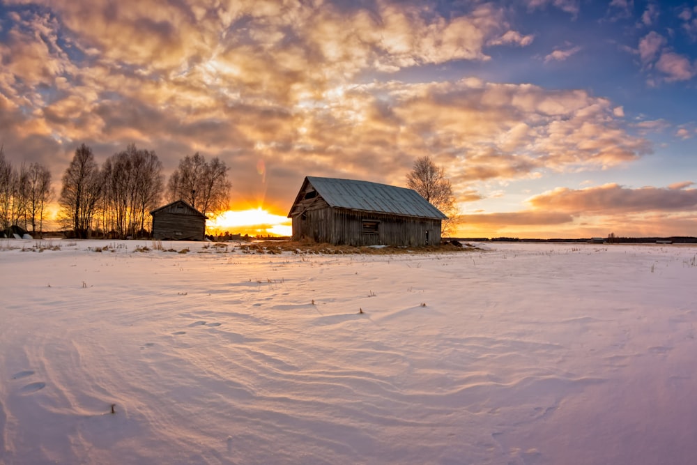 house surrounded with snow