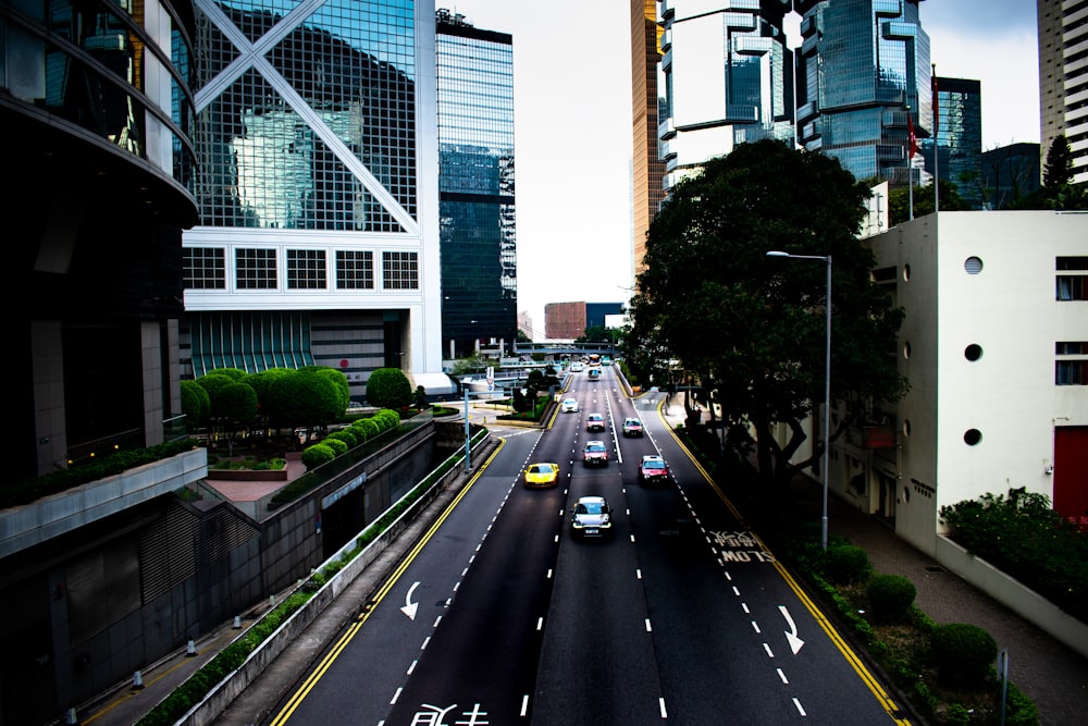 vehicles on road near buildings and structures