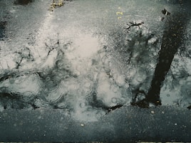 water drop on ground