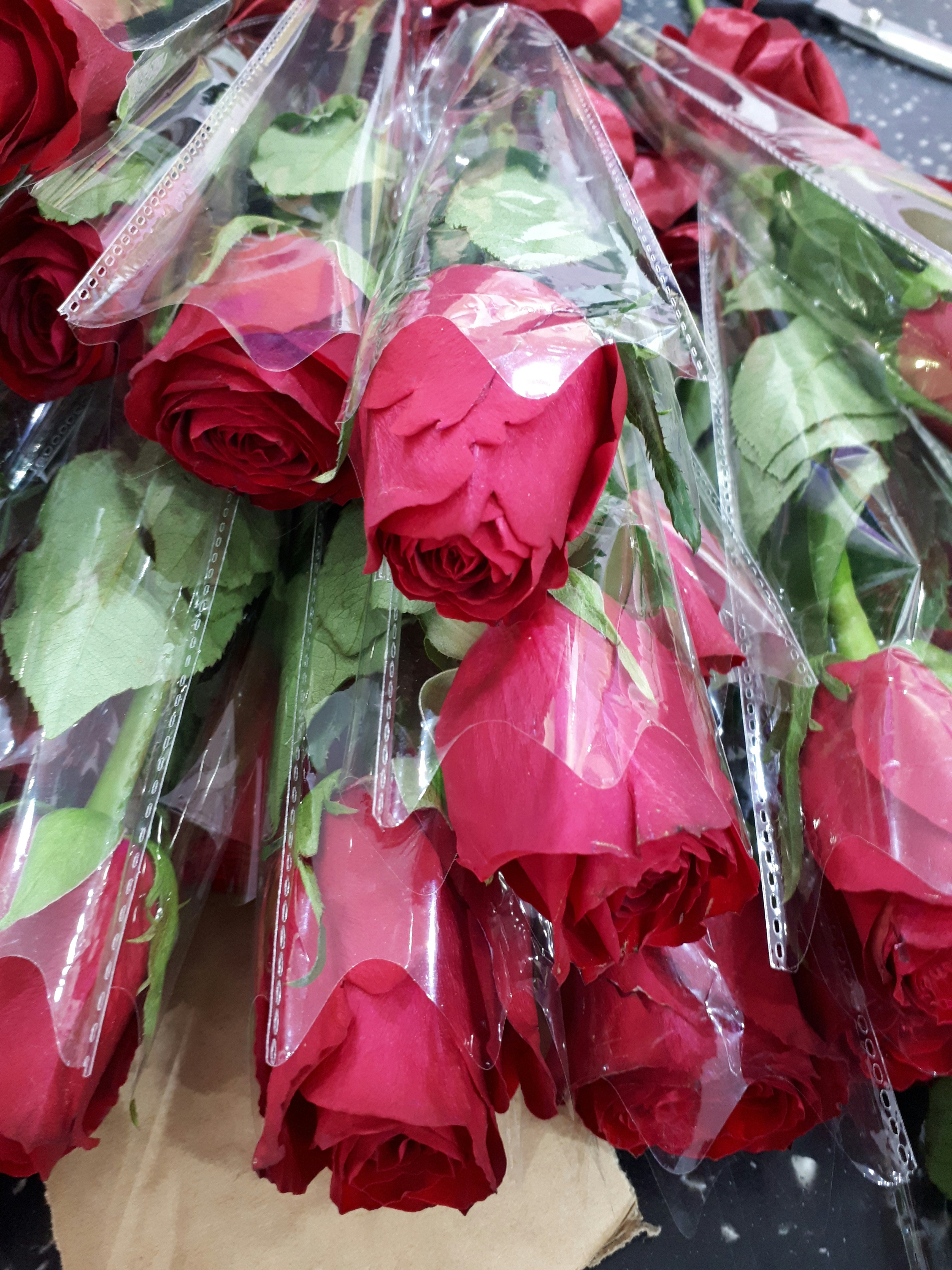 Bouquet de roses fraîches