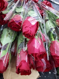A collection of vibrant red roses neatly wrapped in clear plastic, with their green stems and leaves visible. The flowers are arranged closely together, showcasing their lush petals and rich color.