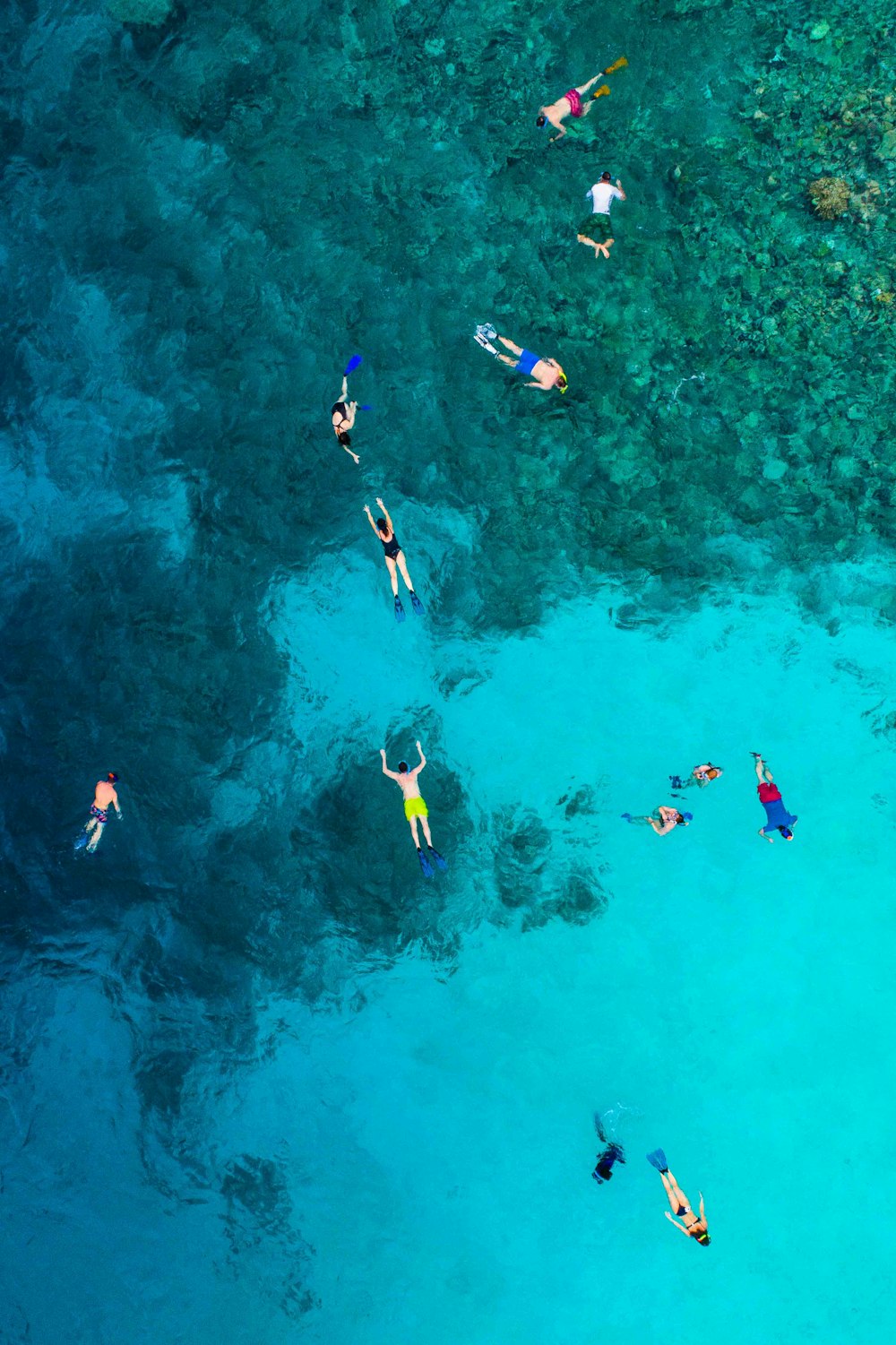 vista aérea fotografia de pessoas no corpo d'água