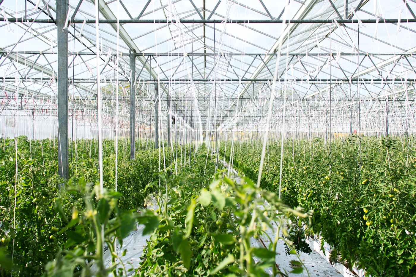 Smart Agriculture Technology
