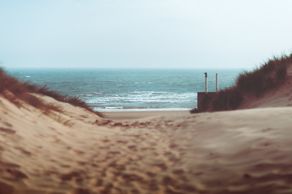 Photographie peu profonde de sable brun et de mer