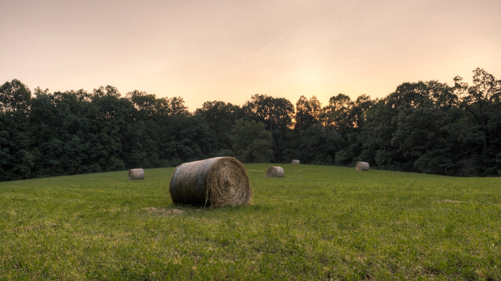 Grünes Grasfeld mit braunen Heuen unter weißen Wolken tagsüber