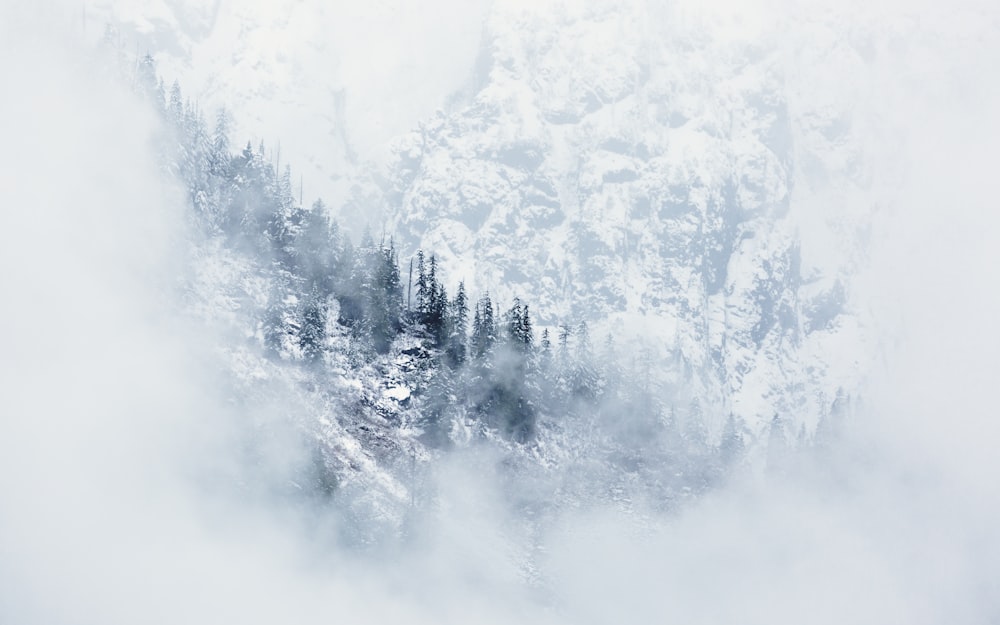 Ein schneebedeckter Berg mit Bäumen im Vordergrund