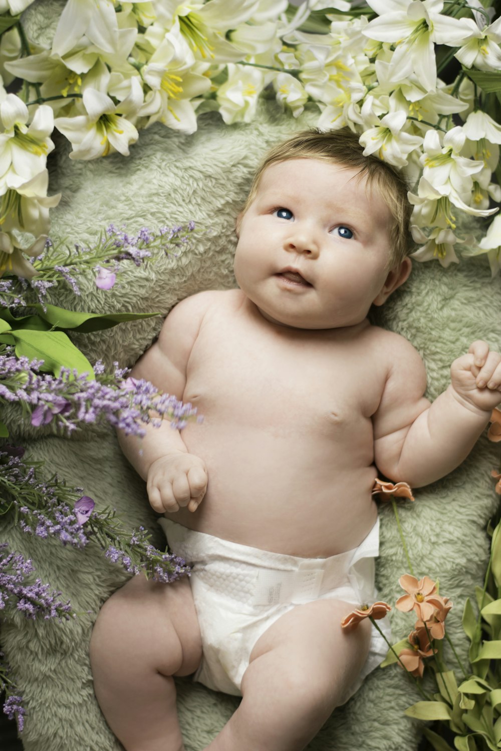 Free Newborn Baby Newborn Baby