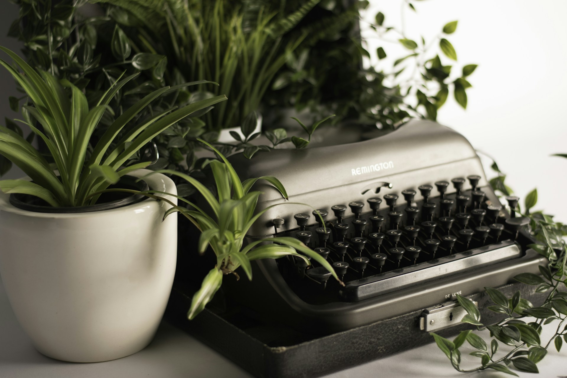 silver typewriter surrounded with green leafed plant