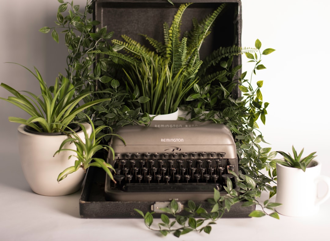 gray and black typewriter pot with green leaf plants