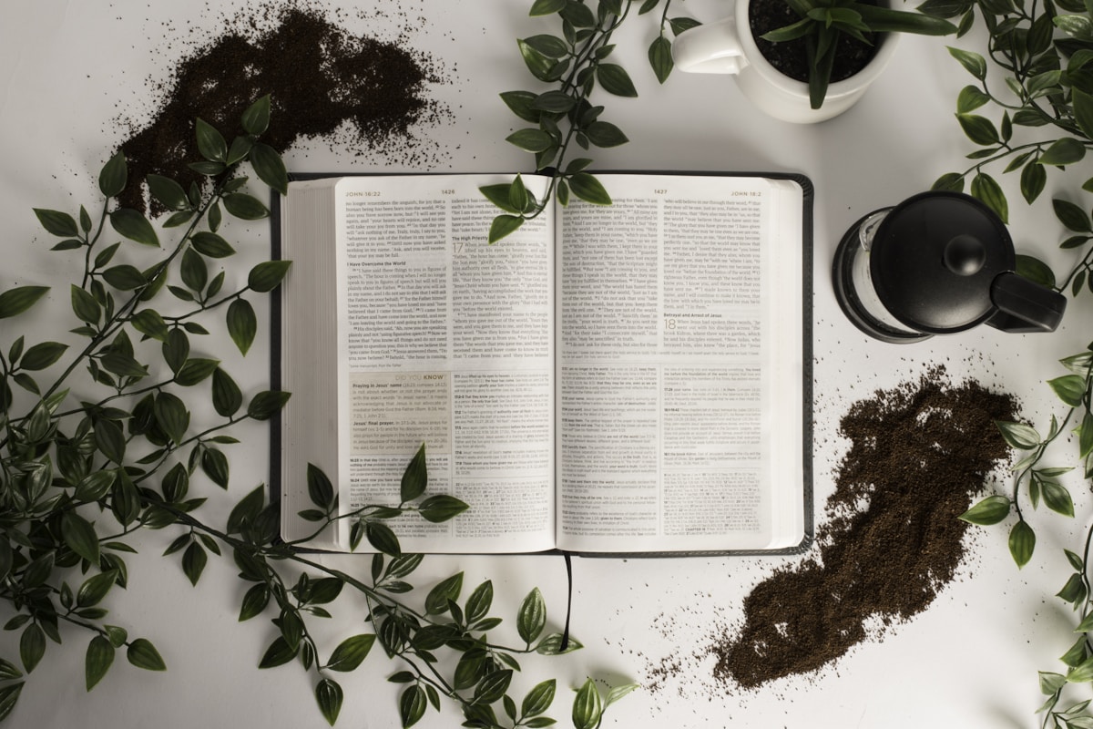 la lecture comme exercice essentiel pour améliorer les compétences linguistiques