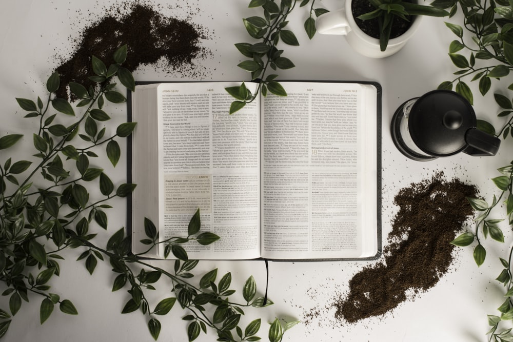 20+ Free Bible Pictures on Unsplash