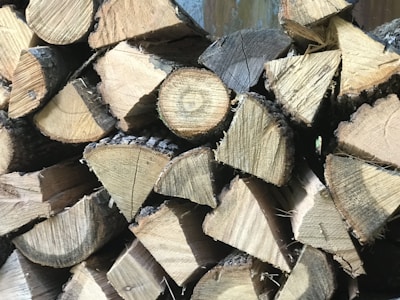 A stack of chopped wooden logs arranged in a neat pile. The logs have a visible, freshly cut appearance with light brown hues and distinct growth rings and textures.