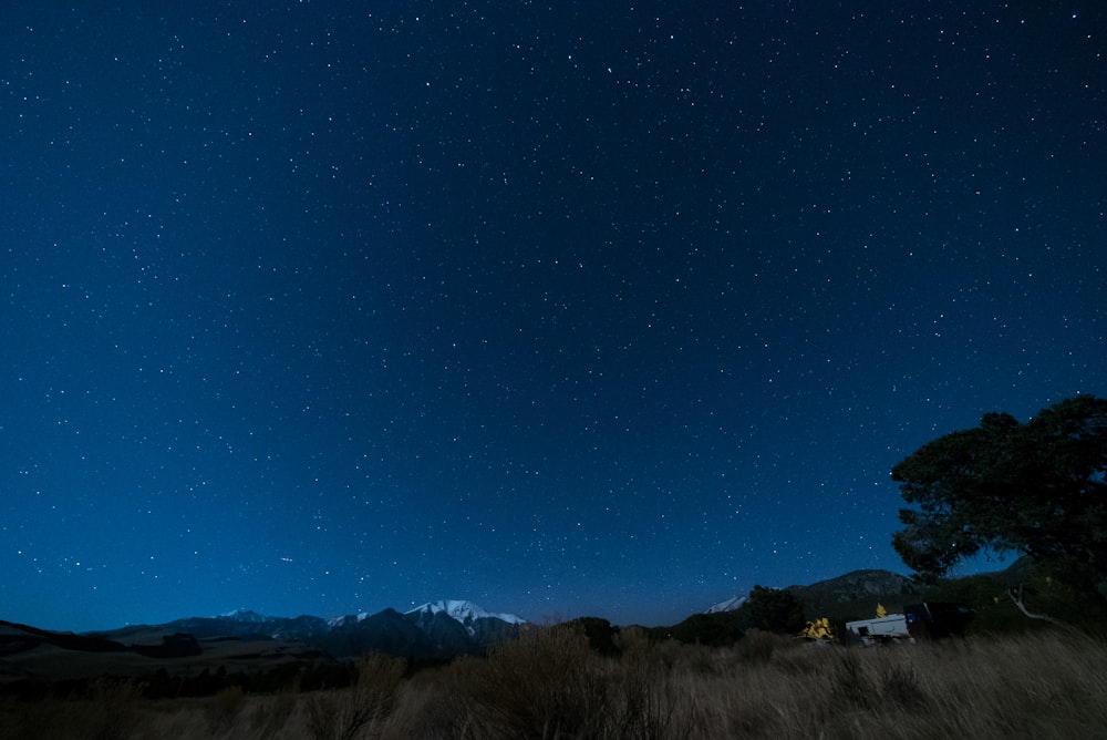 blue starry skies