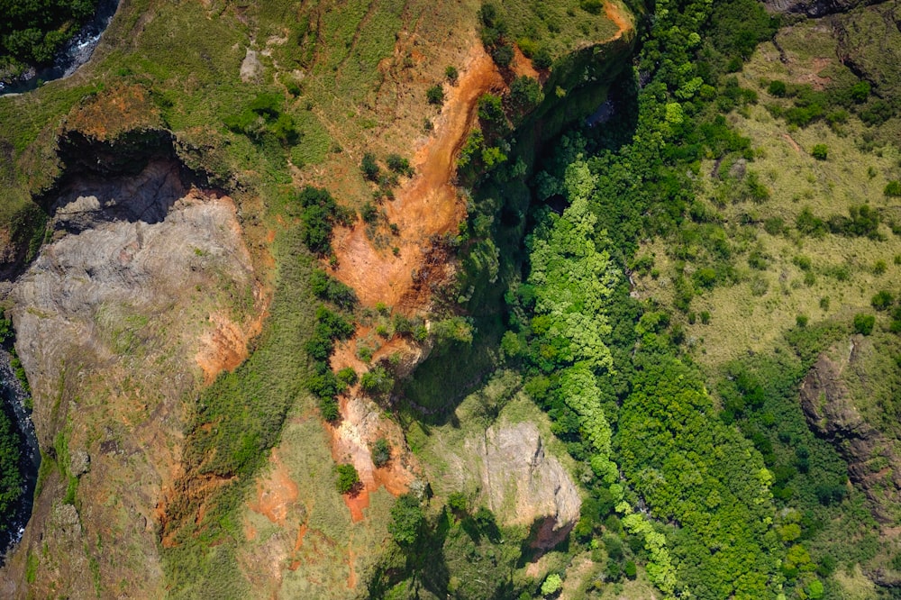 Vista aérea do campo de grama verde