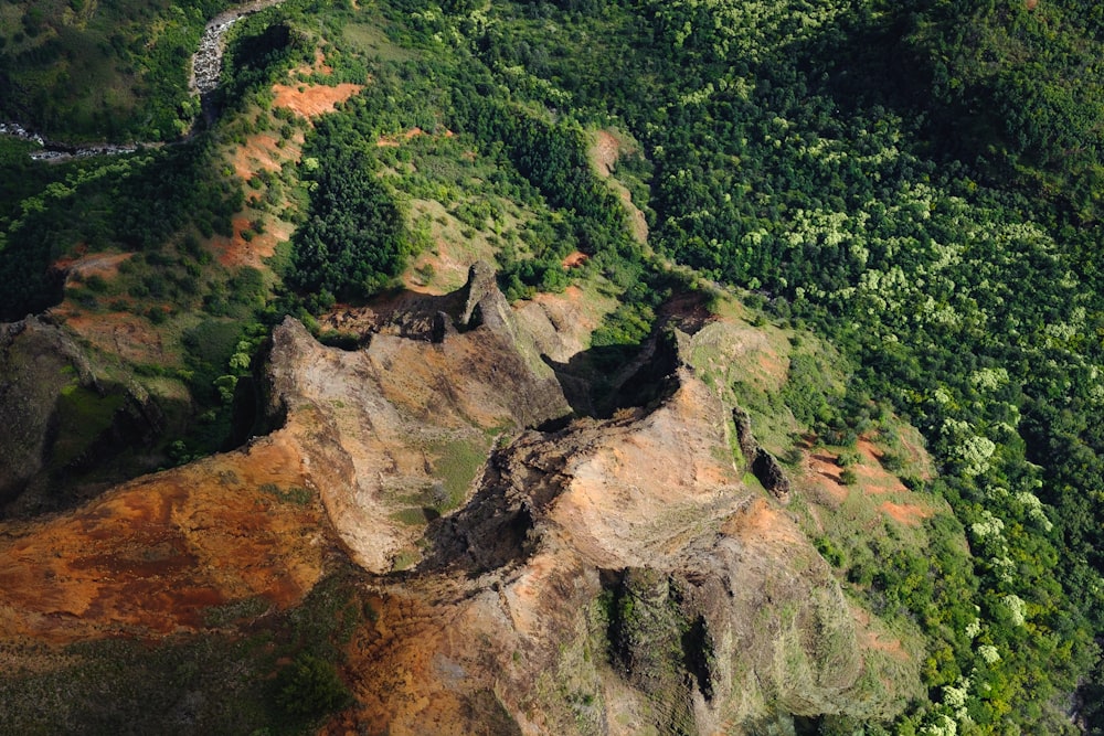 Luftaufnahme der von Bäumen umgebenen Berge