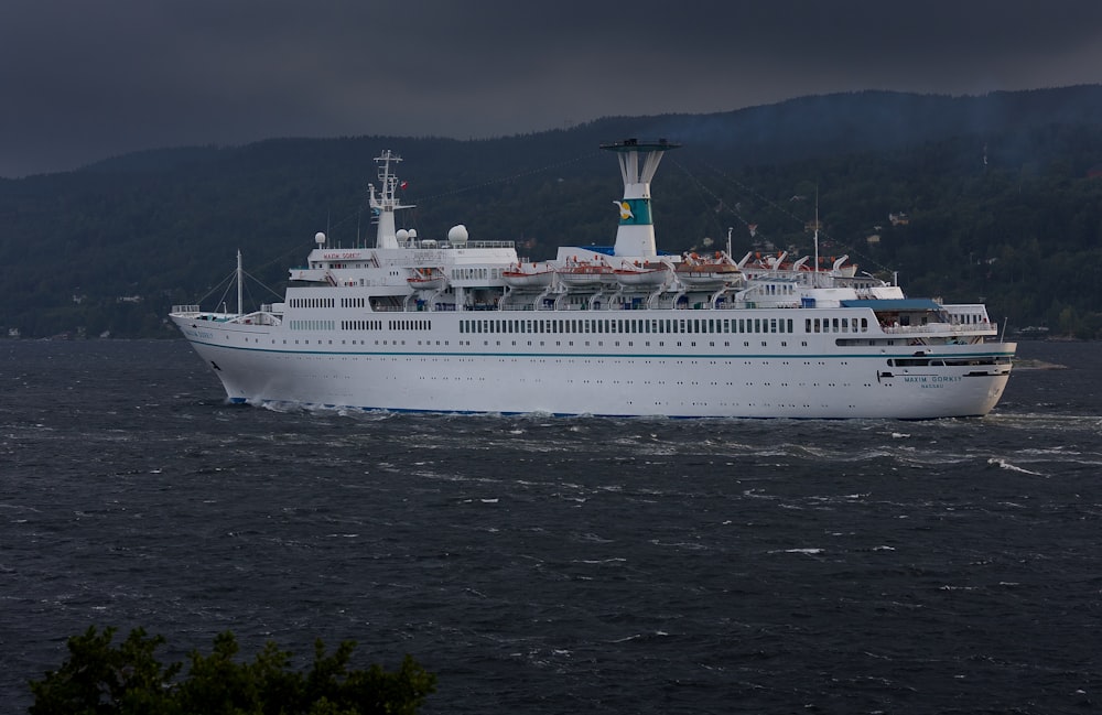 Bateau de croisière blanc sur la mer