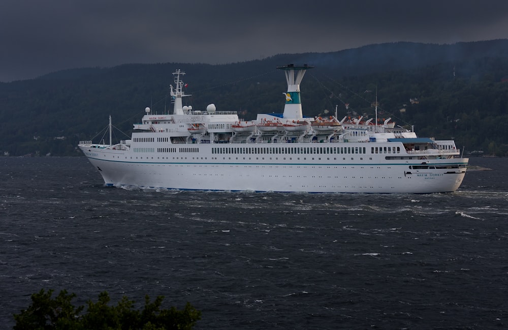 white cruise ship on sea