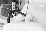 Monochrome image of a cozy corner in the salon with chic decor and natural light.