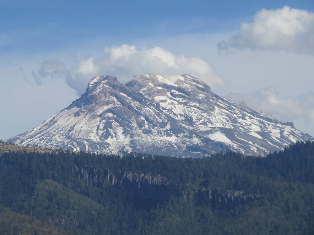 low-angle photo of mountain