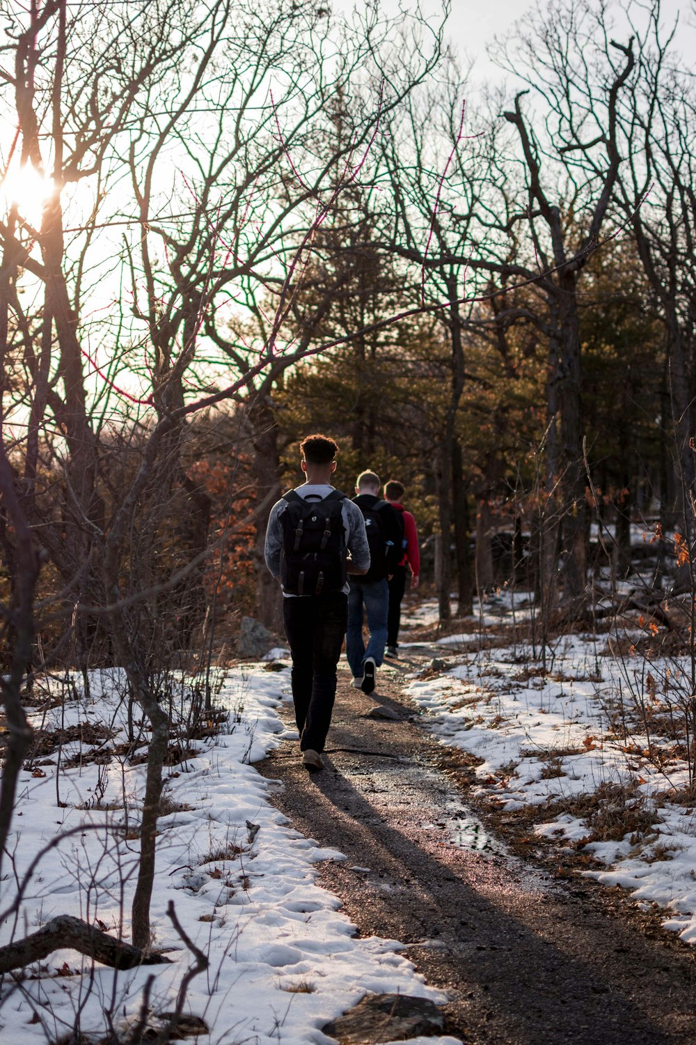 man and woman walking on snow covered pathway between bare trees during daytime