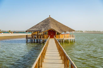 brown wooden shed surrounded body of water