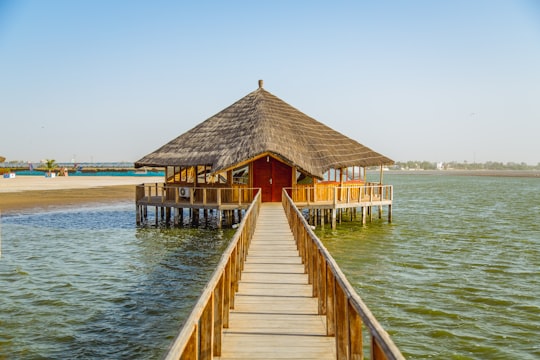 brown wooden shed surrounded body of water in Kaolack Senegal