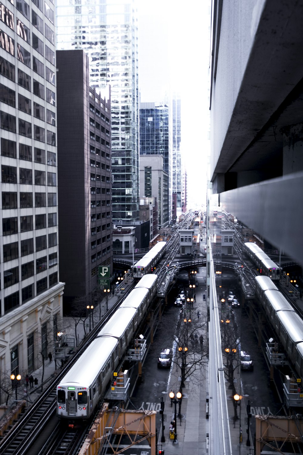 cars on road between high rise buildings during daytime