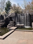A peaceful water feature surrounded by lush plants.