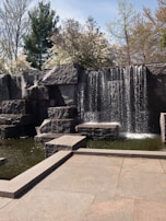 A tranquil water feature surrounded by natural plants and stones.